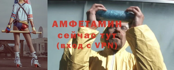 сатива Армянск