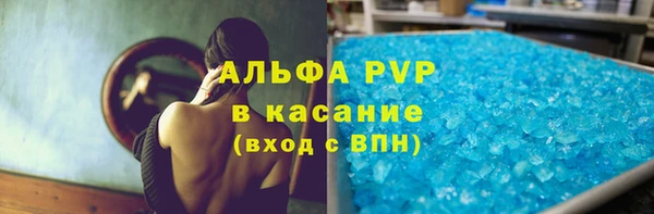 сатива Армянск