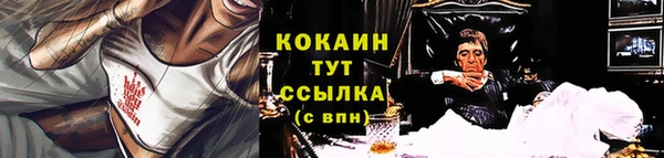 прущие грибы Аркадак