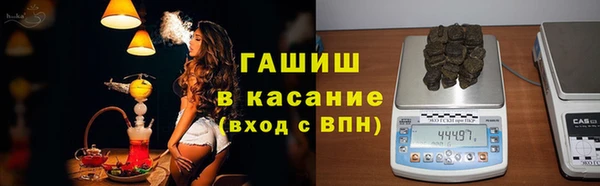 прущие грибы Аркадак