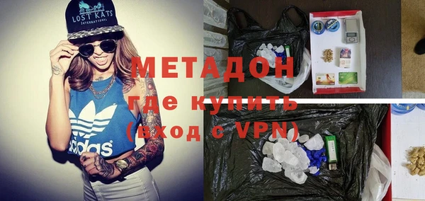 прущие грибы Аркадак